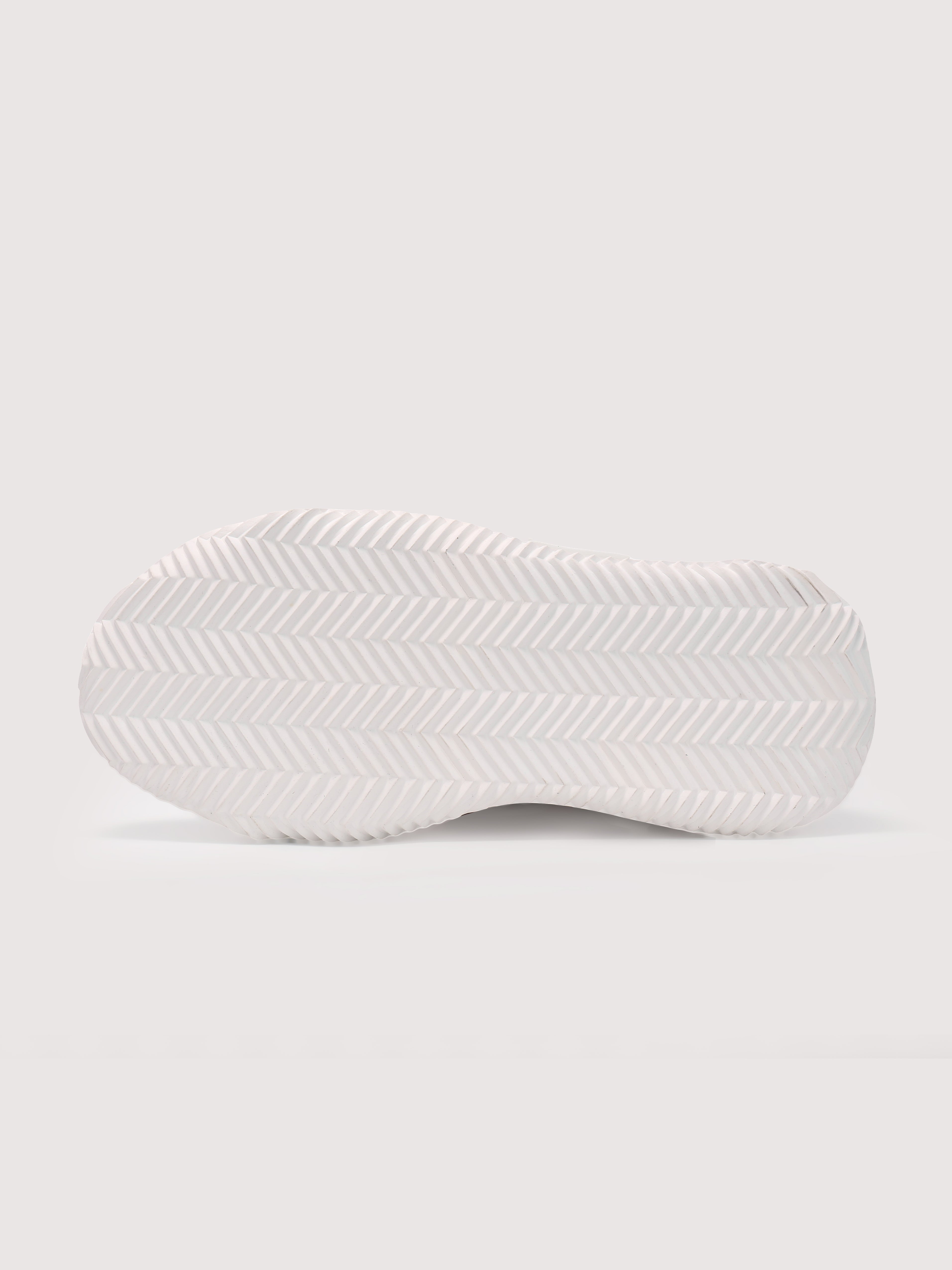 Elevate – Javi USA